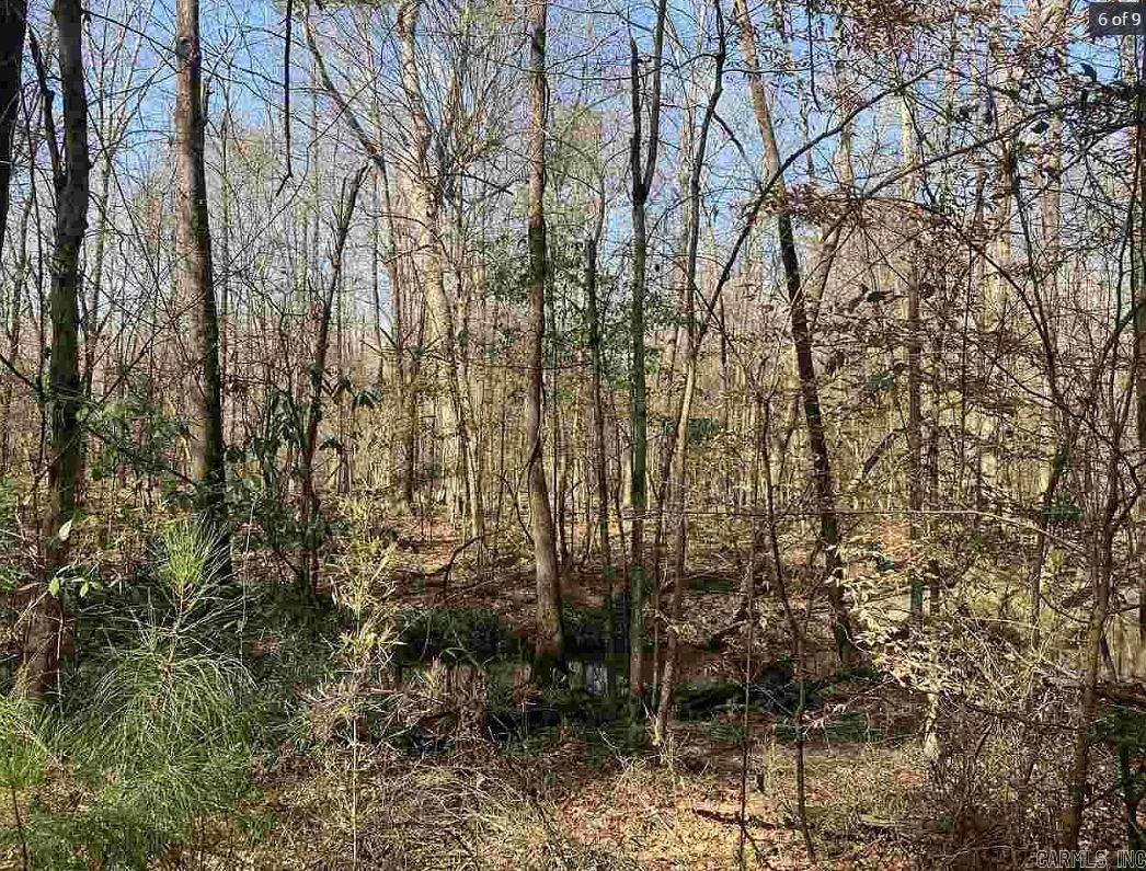 Tbd Mc 285 Property Photo 11