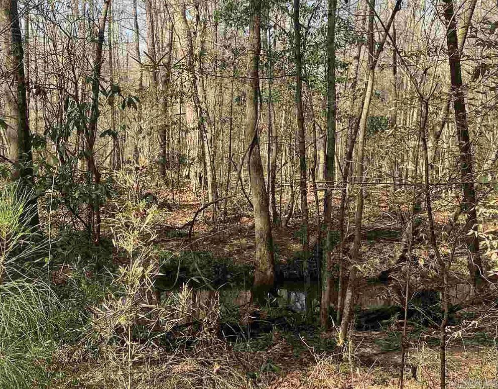 Tbd Mc 285 Property Photo 14