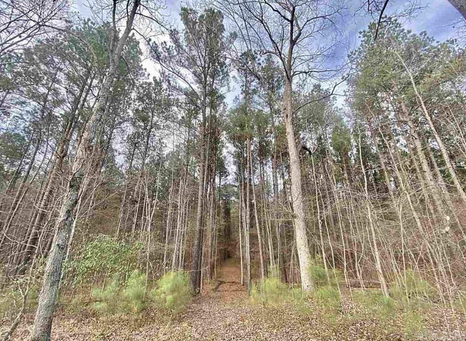 Tbd Mc 285 Property Photo 15