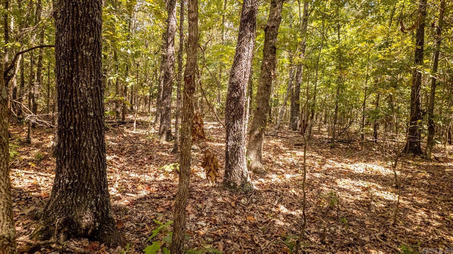 000 County Road 9640 Property Photo 1
