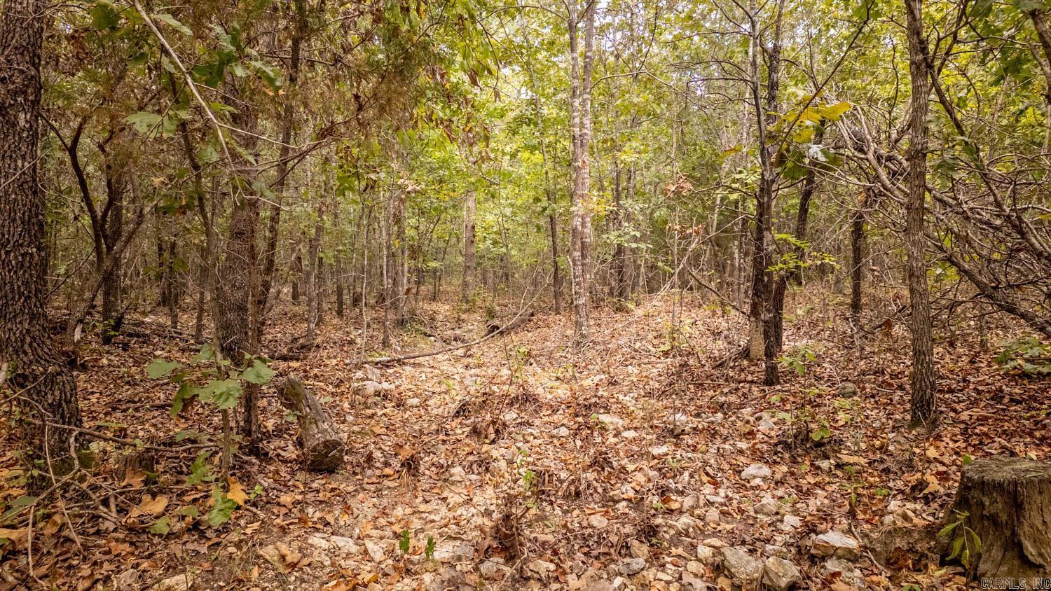 000 County Road 9640 Property Photo 5