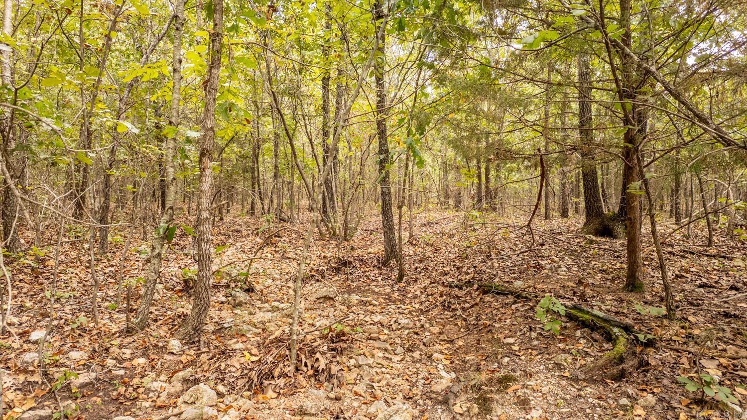 000 County Road 9640 Property Photo 6