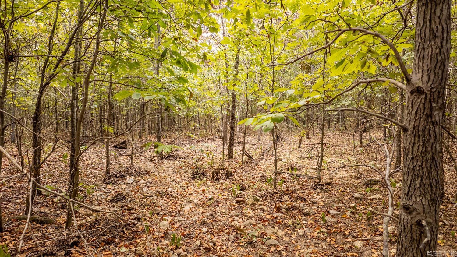 000 County Road 9640 Property Photo 7