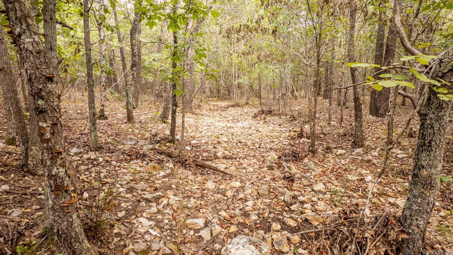 000 County Road 9640 Property Photo 8