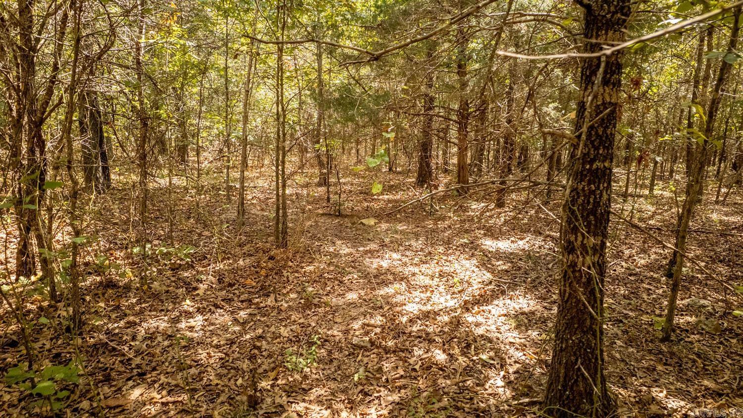 000 County Road 9640 Property Photo 15