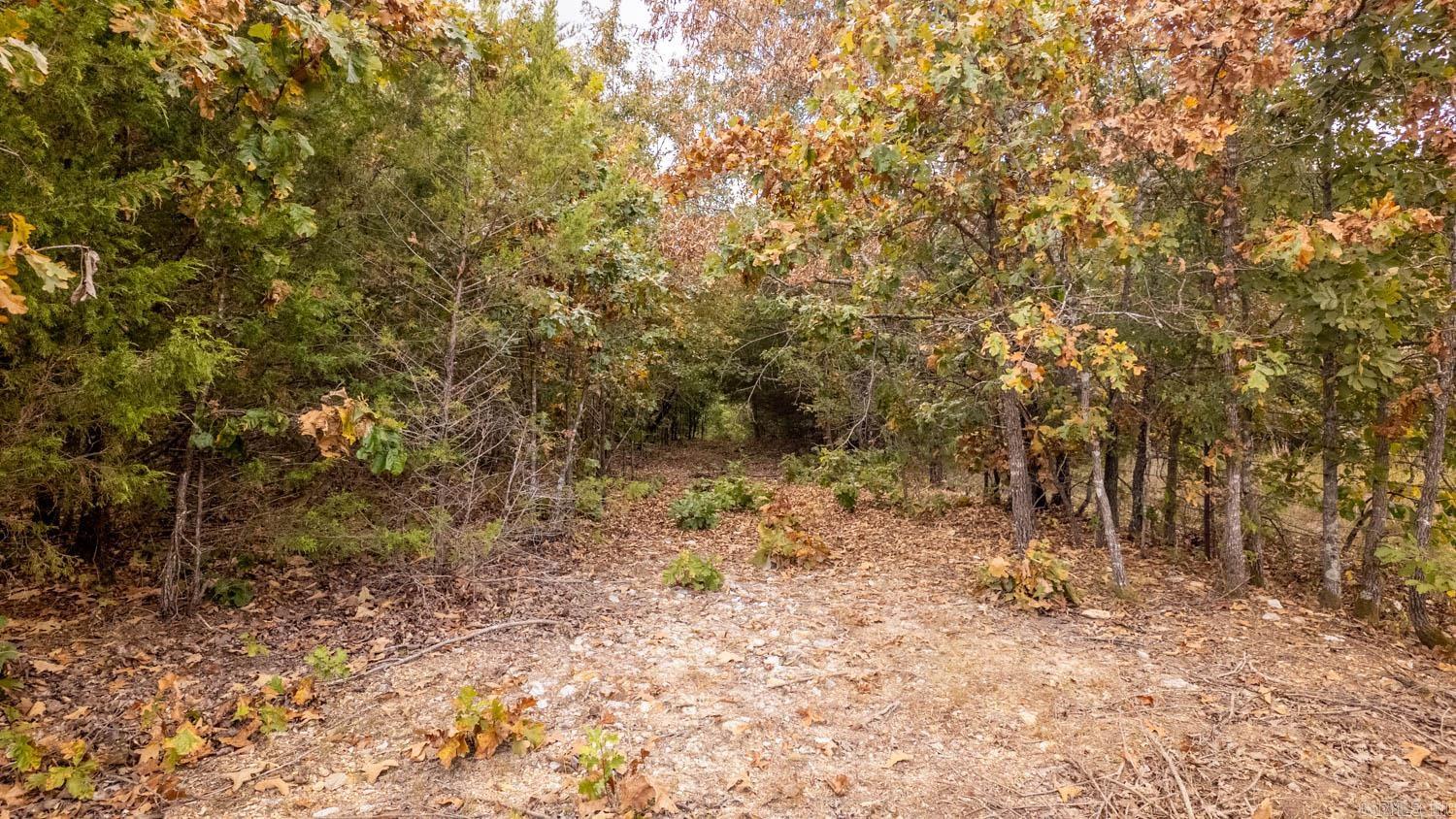 000 County Road 9640 Property Photo 18