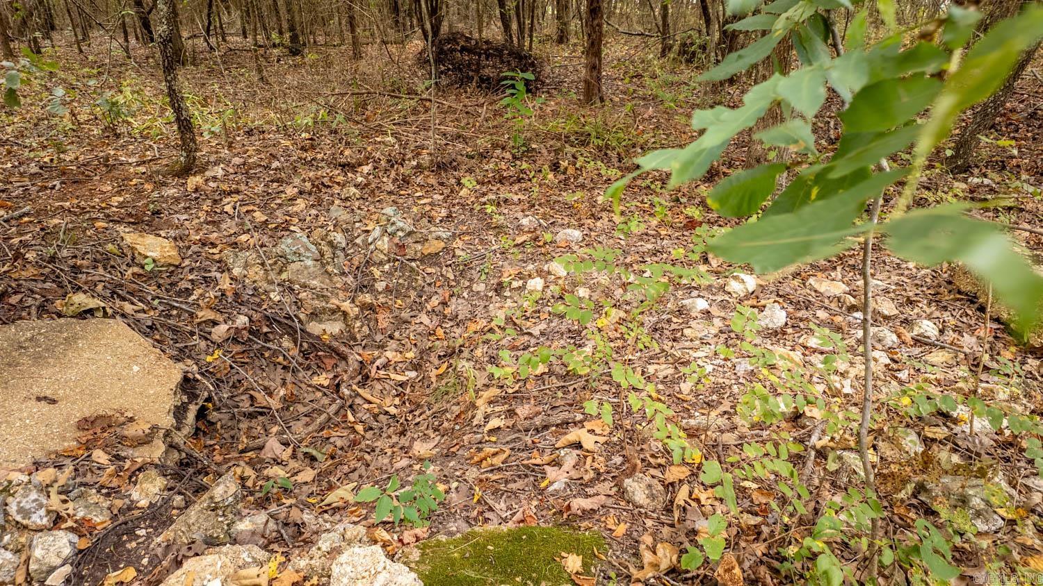000 County Road 9640 Property Photo 19