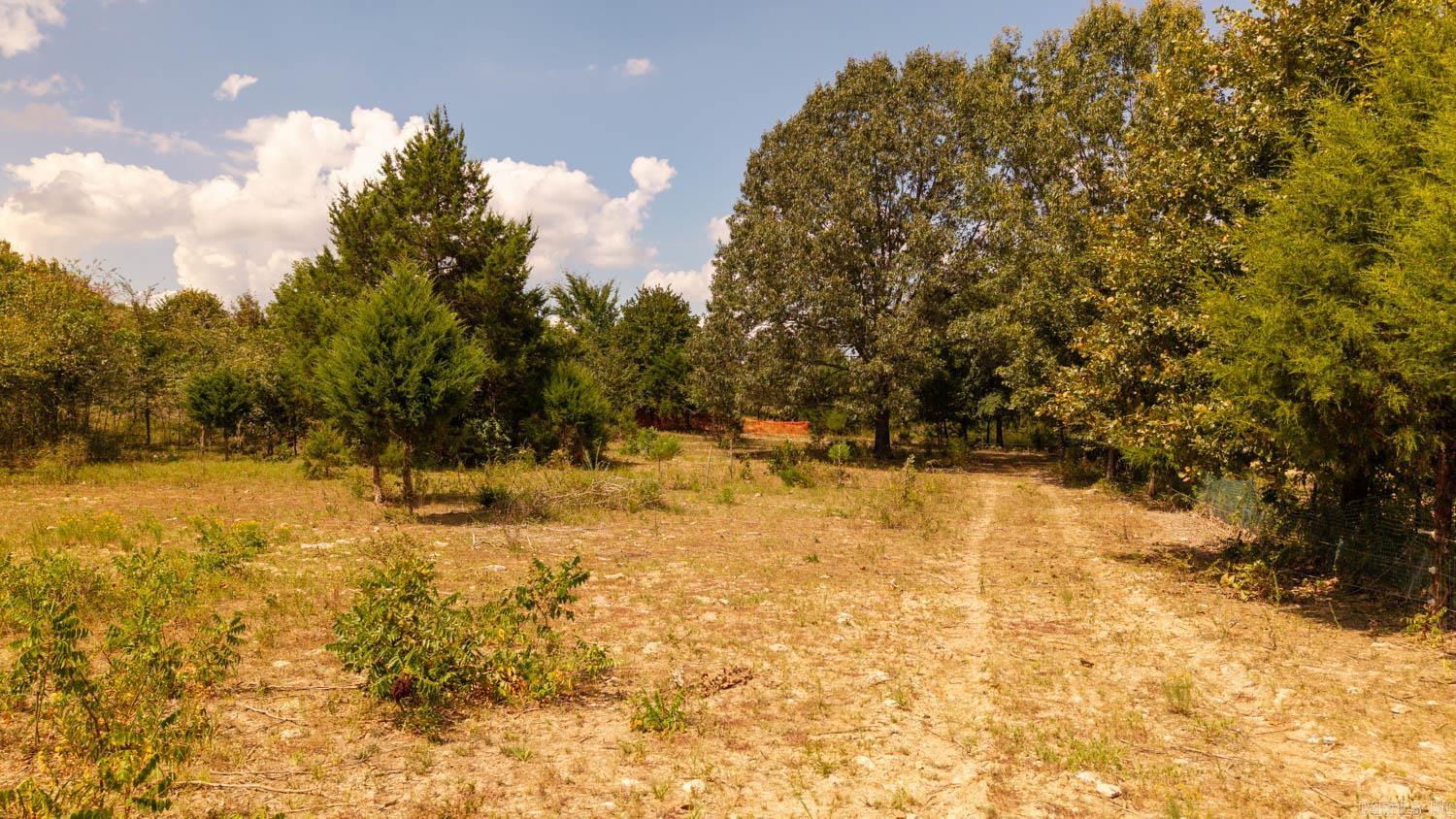 000 County Road 9640 Property Photo 34