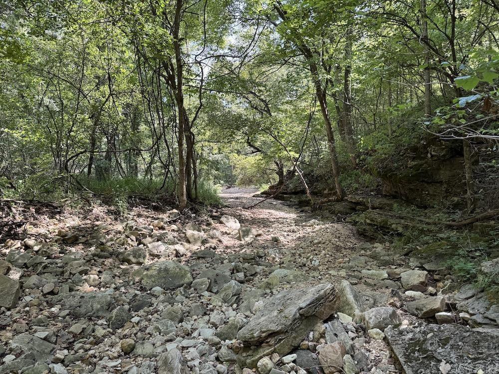 550 Hillbilly Hollow Trail Property Photo 2