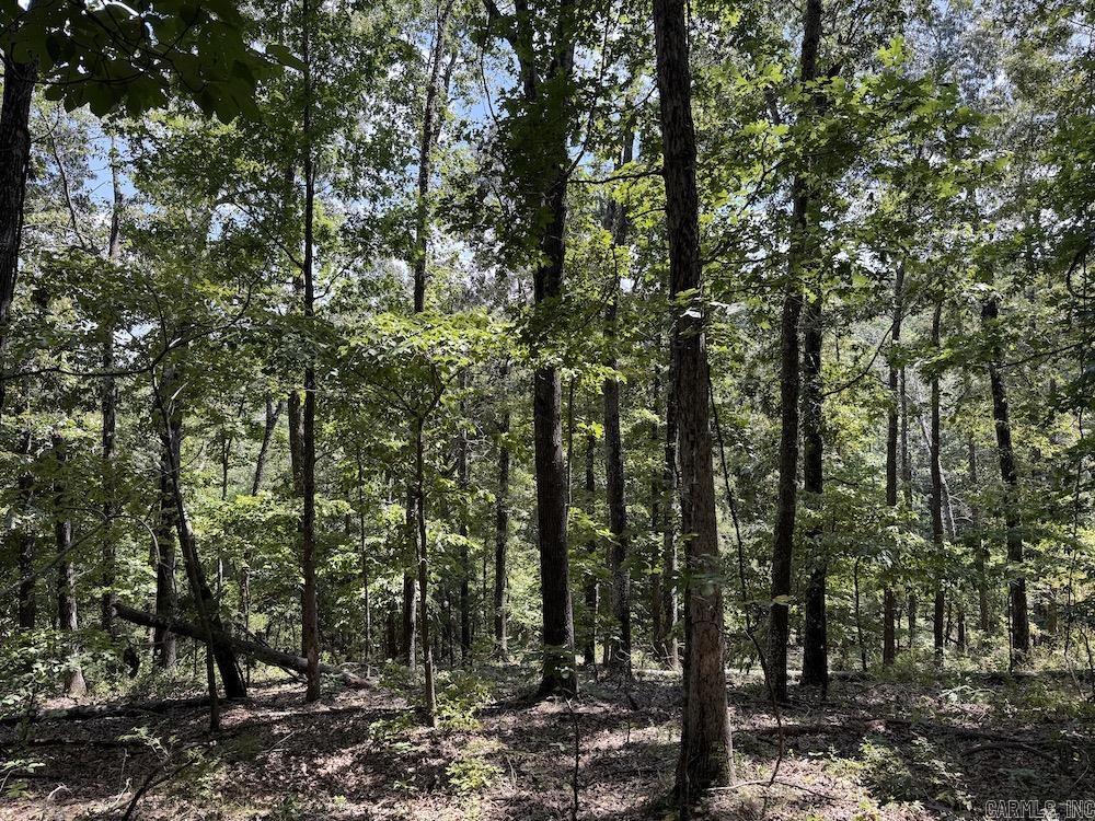 550 Hillbilly Hollow Trail Property Photo 3