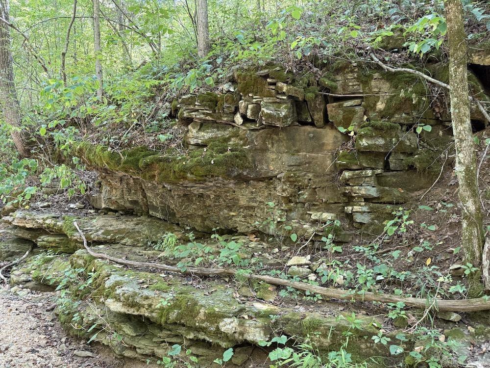 550 Hillbilly Hollow Trail Property Photo 4