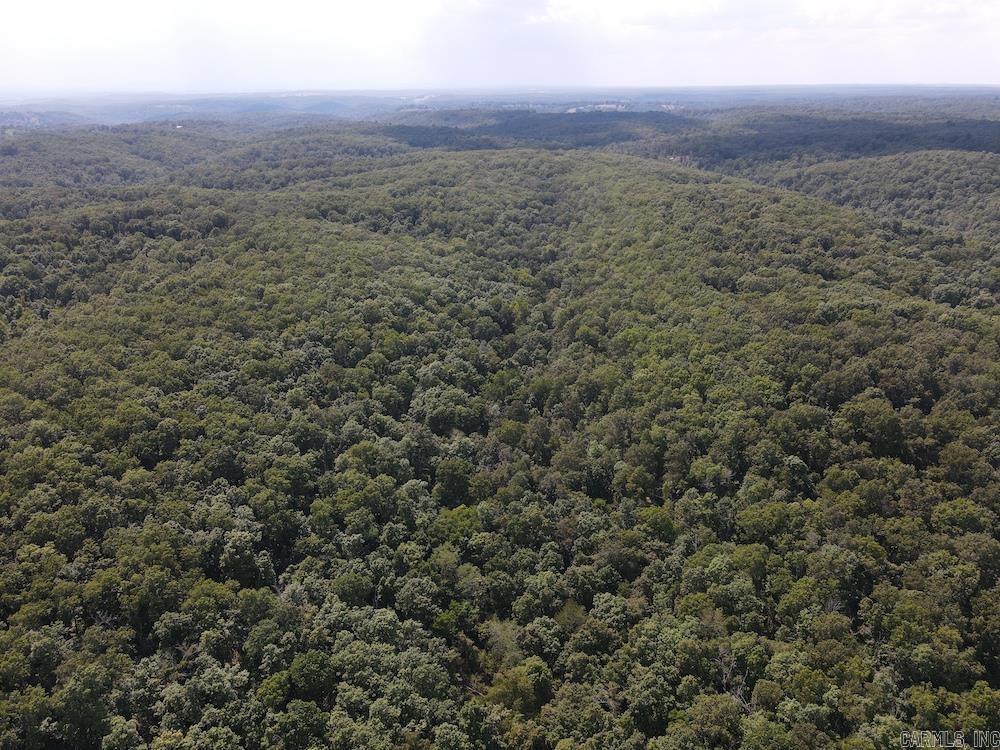 550 Hillbilly Hollow Trail Property Photo 5