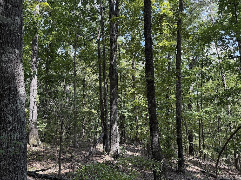 550 Hillbilly Hollow Trail Property Photo 6
