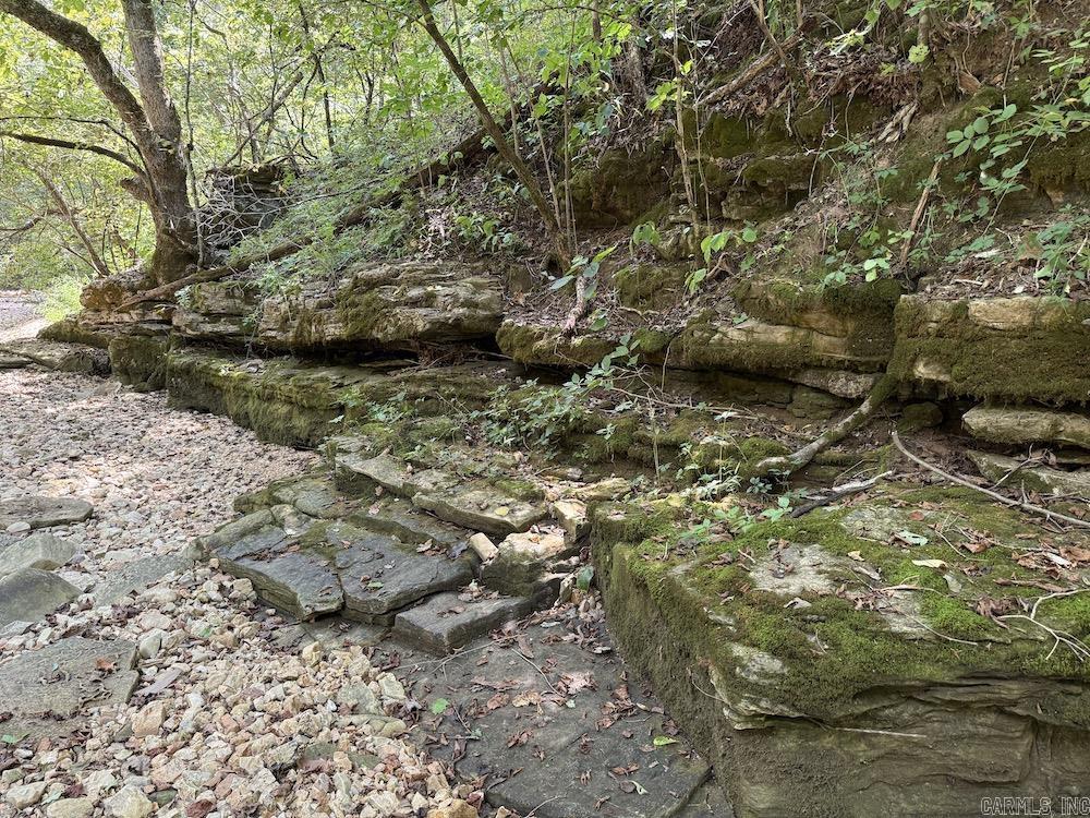 550 Hillbilly Hollow Trail Property Photo 7