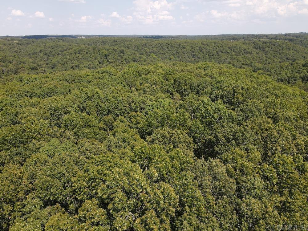 550 Hillbilly Hollow Trail Property Photo 9