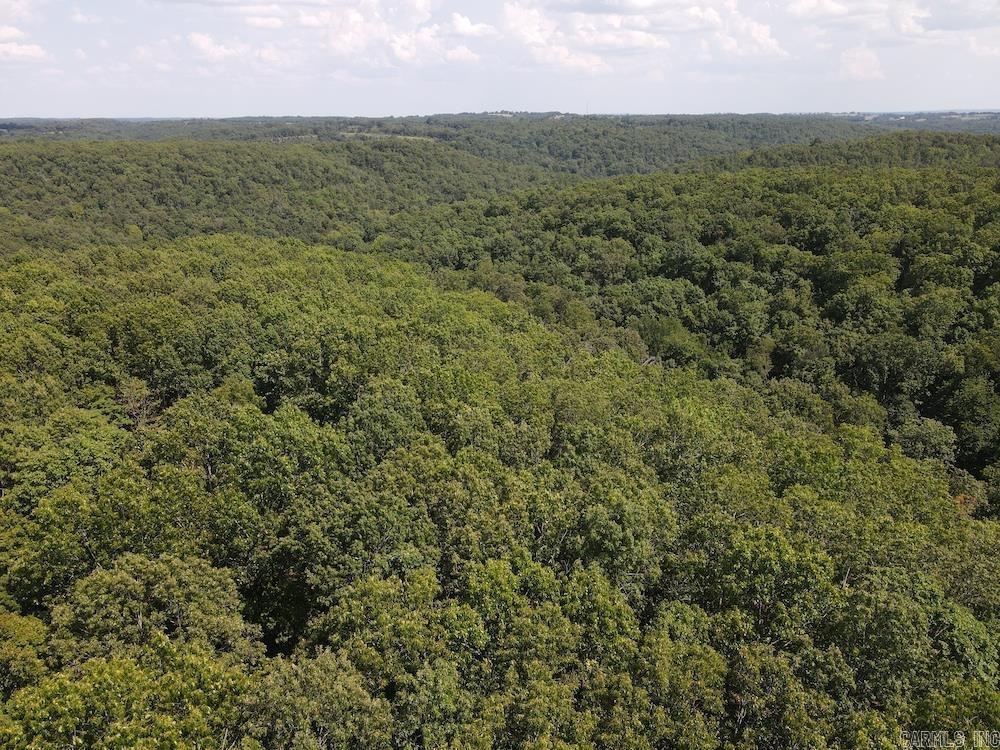 550 Hillbilly Hollow Trail Property Photo 10