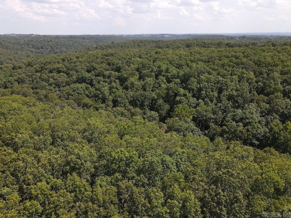 550 Hillbilly Hollow Trail Property Photo 11