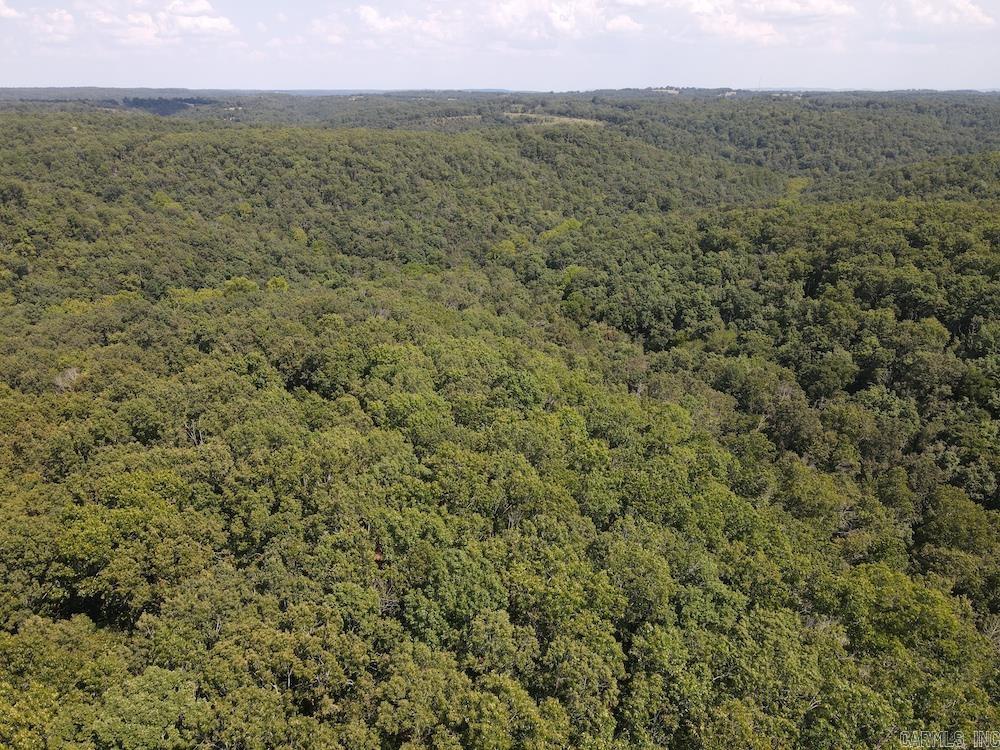 550 Hillbilly Hollow Trail Property Photo 12