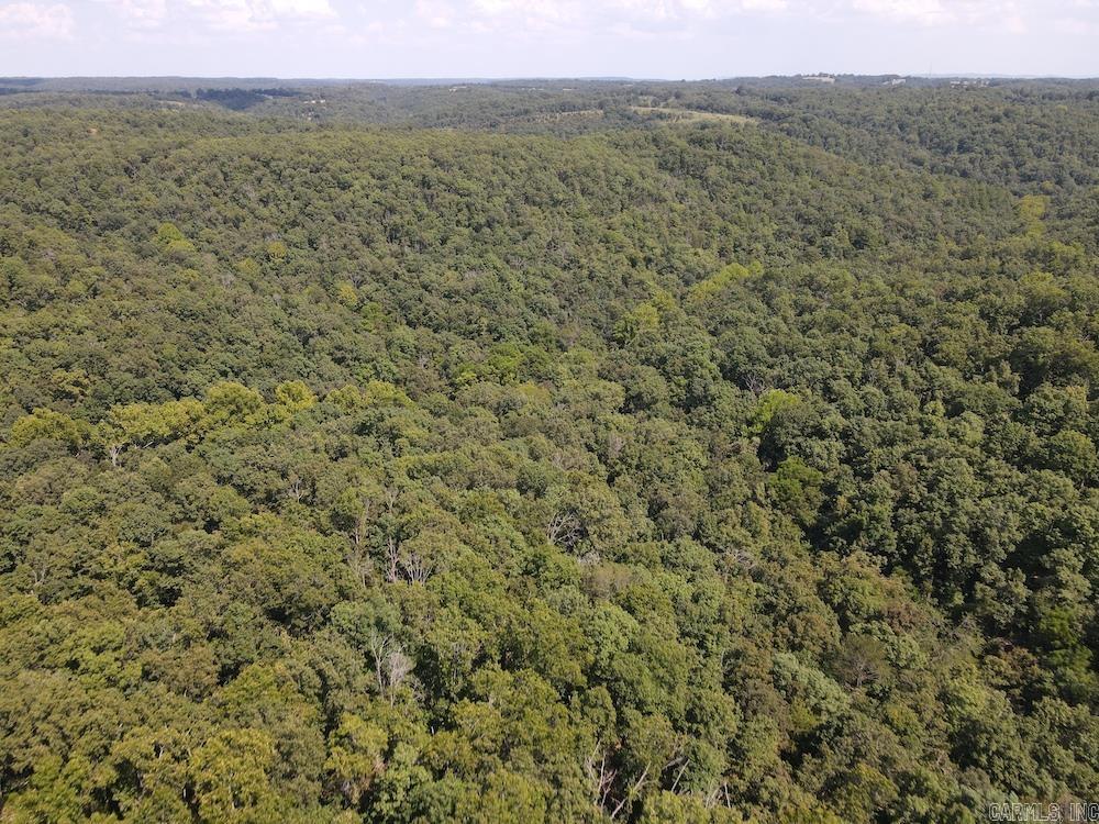 550 Hillbilly Hollow Trail Property Photo 13