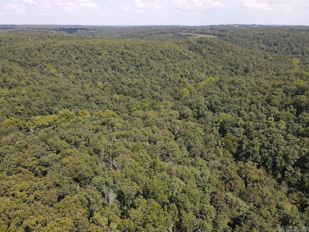 550 Hillbilly Hollow Trail Property Photo 14