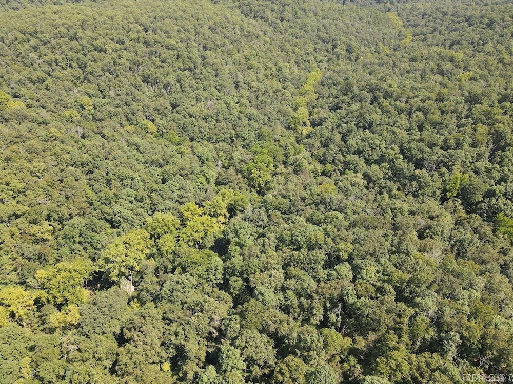 550 Hillbilly Hollow Trail Property Photo 15