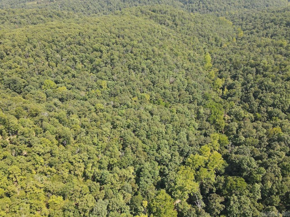 550 Hillbilly Hollow Trail Property Photo 16