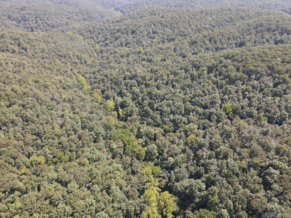 550 Hillbilly Hollow Trail Property Photo 17