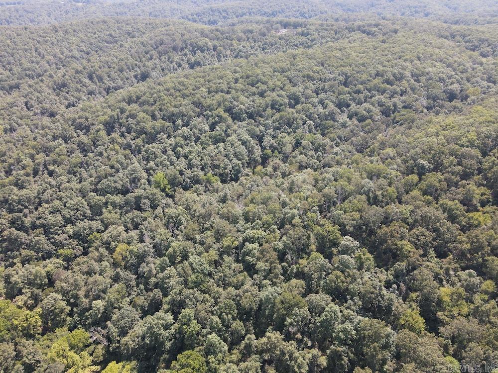 550 Hillbilly Hollow Trail Property Photo 18