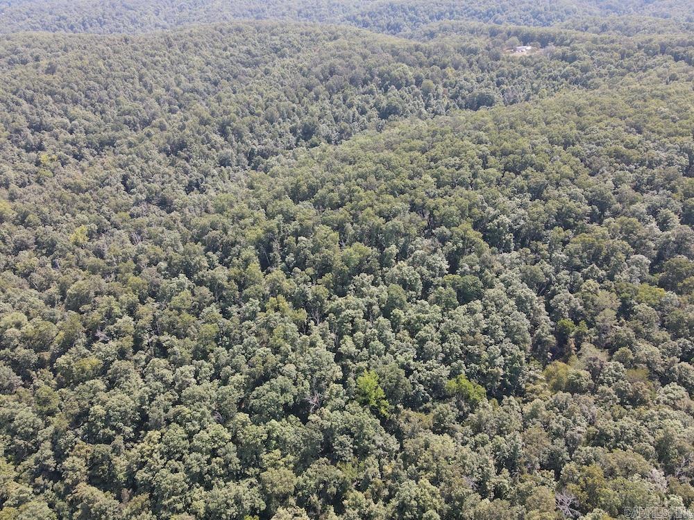 550 Hillbilly Hollow Trail Property Photo 19