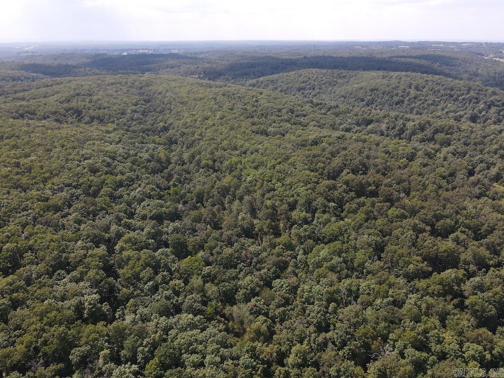 550 Hillbilly Hollow Trail Property Photo 20
