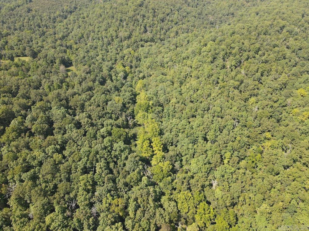 550 Hillbilly Hollow Trail Property Photo 21
