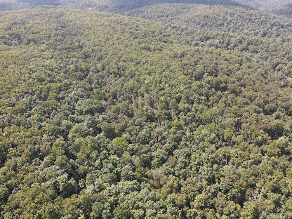 550 Hillbilly Hollow Trail Property Photo 22