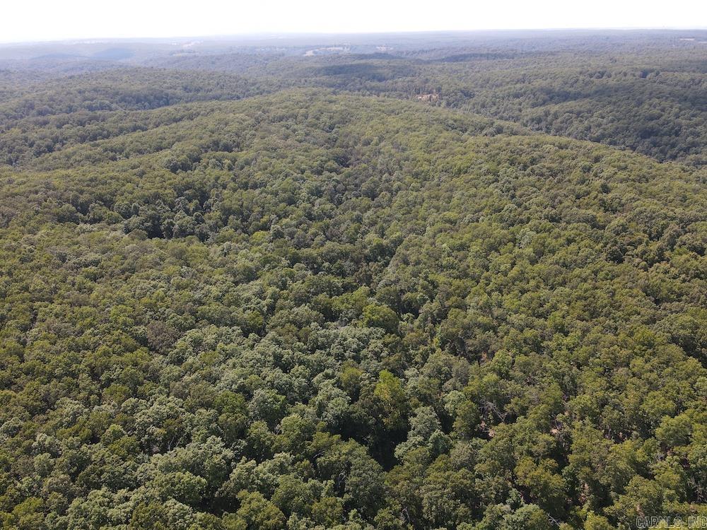 550 Hillbilly Hollow Trail Property Photo 24