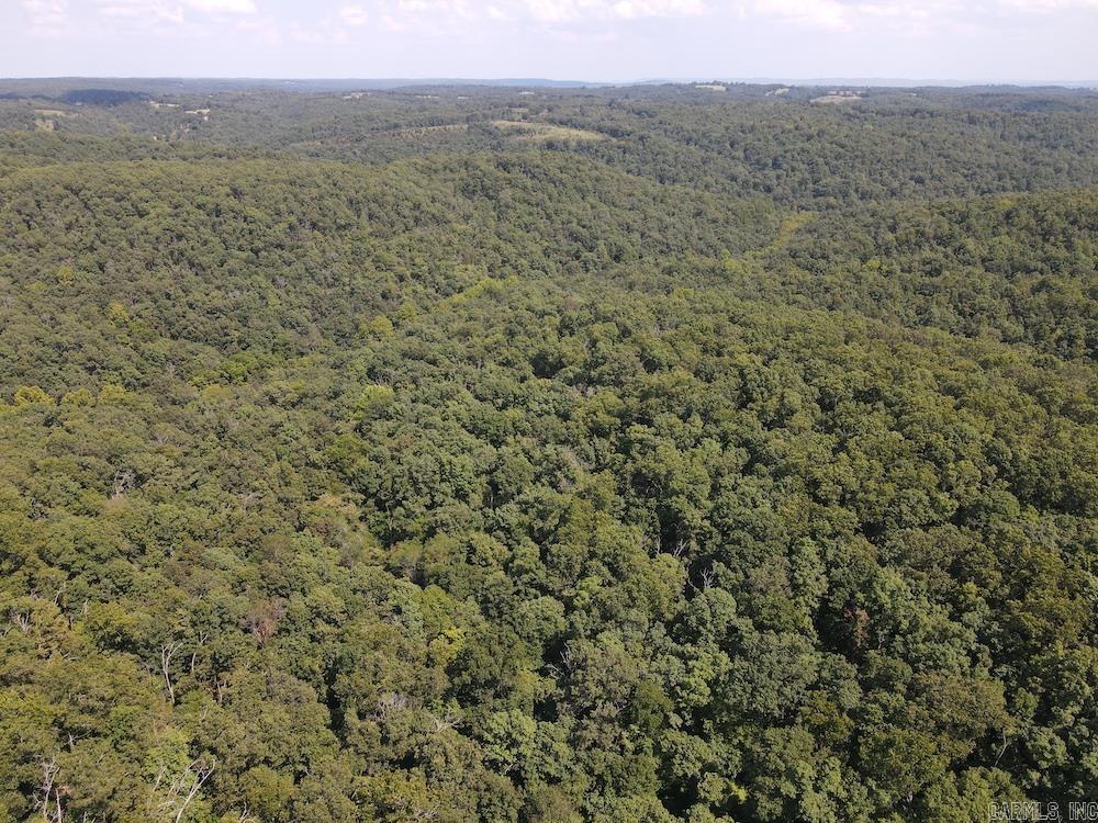 550 Hillbilly Hollow Trail Property Photo 25