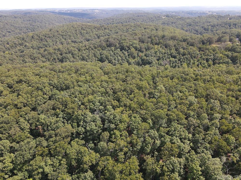 550 Hillbilly Hollow Trail Property Photo 26