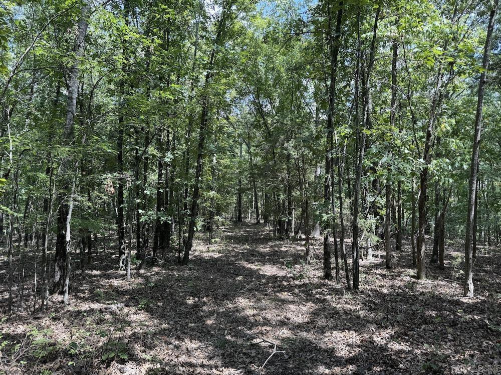 550 Hillbilly Hollow Trail Property Photo 27