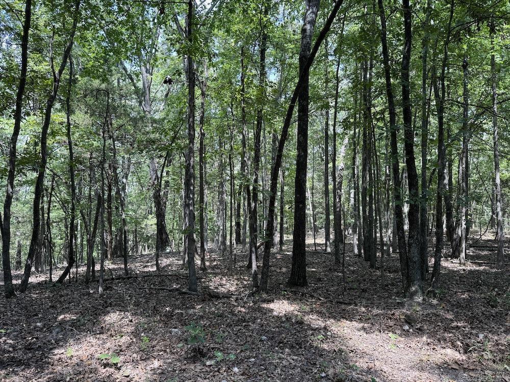 550 Hillbilly Hollow Trail Property Photo 28