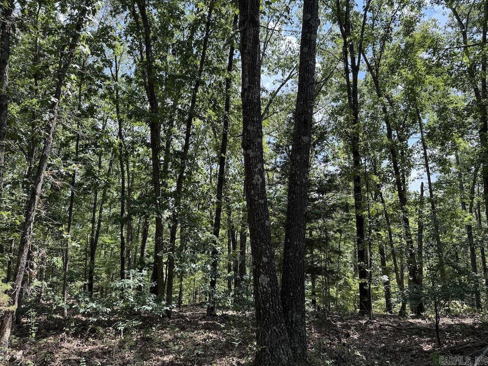 550 Hillbilly Hollow Trail Property Photo 30