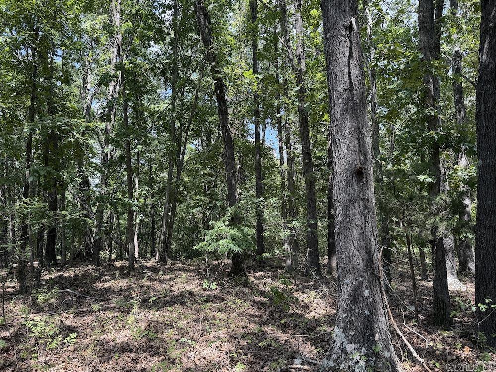 550 Hillbilly Hollow Trail Property Photo 31