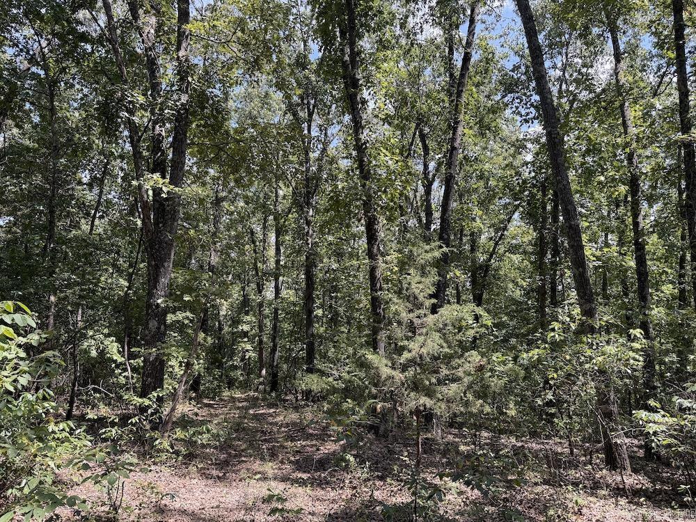 550 Hillbilly Hollow Trail Property Photo 32