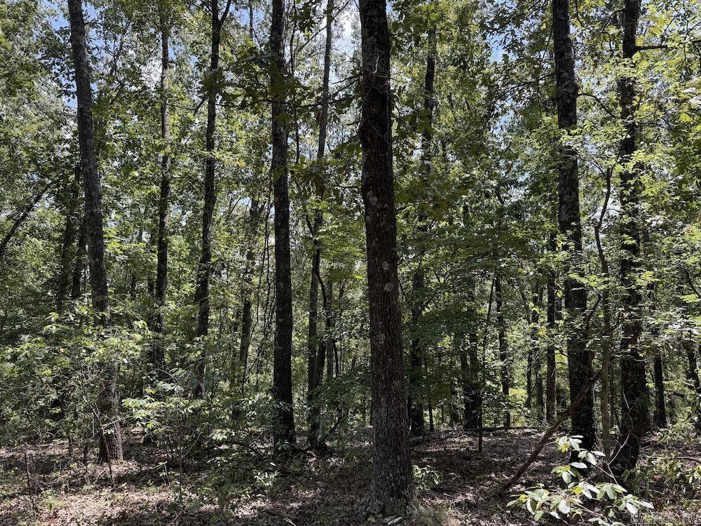 550 Hillbilly Hollow Trail Property Photo 33