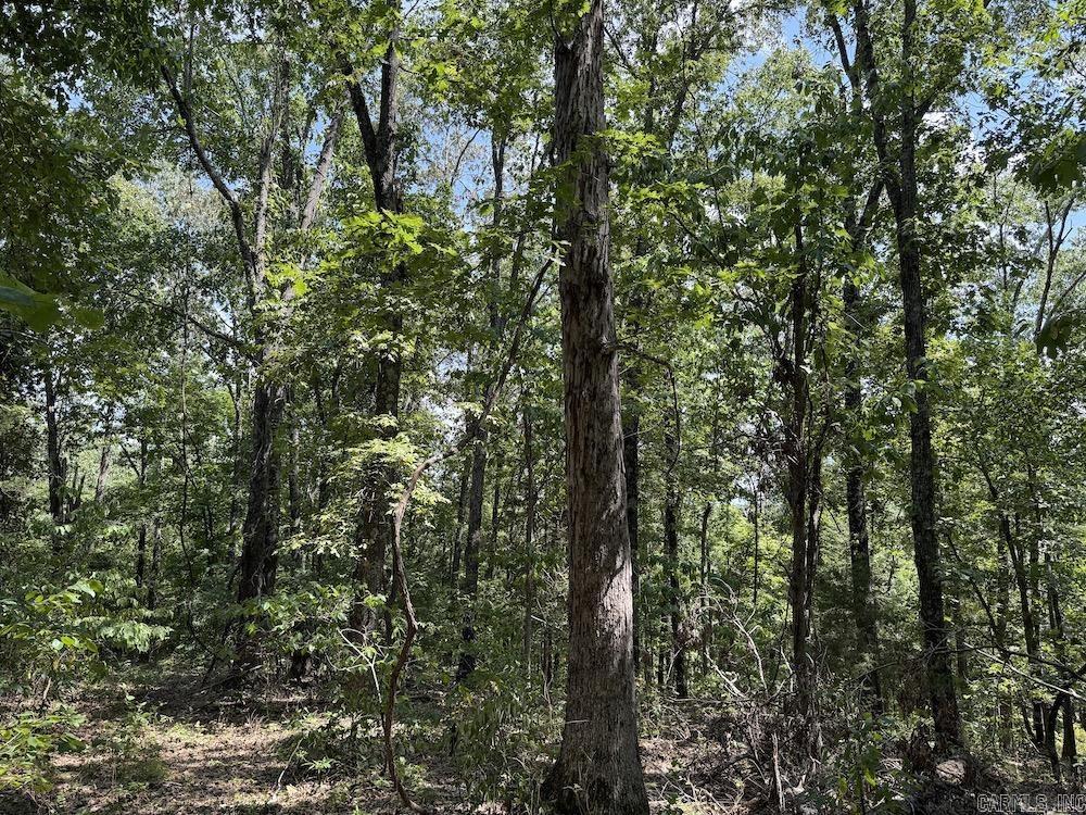 550 Hillbilly Hollow Trail Property Photo 34