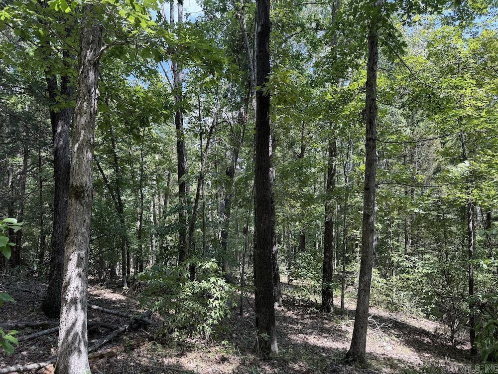 550 Hillbilly Hollow Trail Property Photo 35