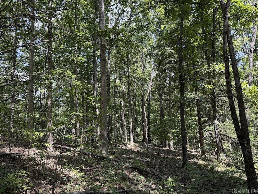 550 Hillbilly Hollow Trail Property Photo 36