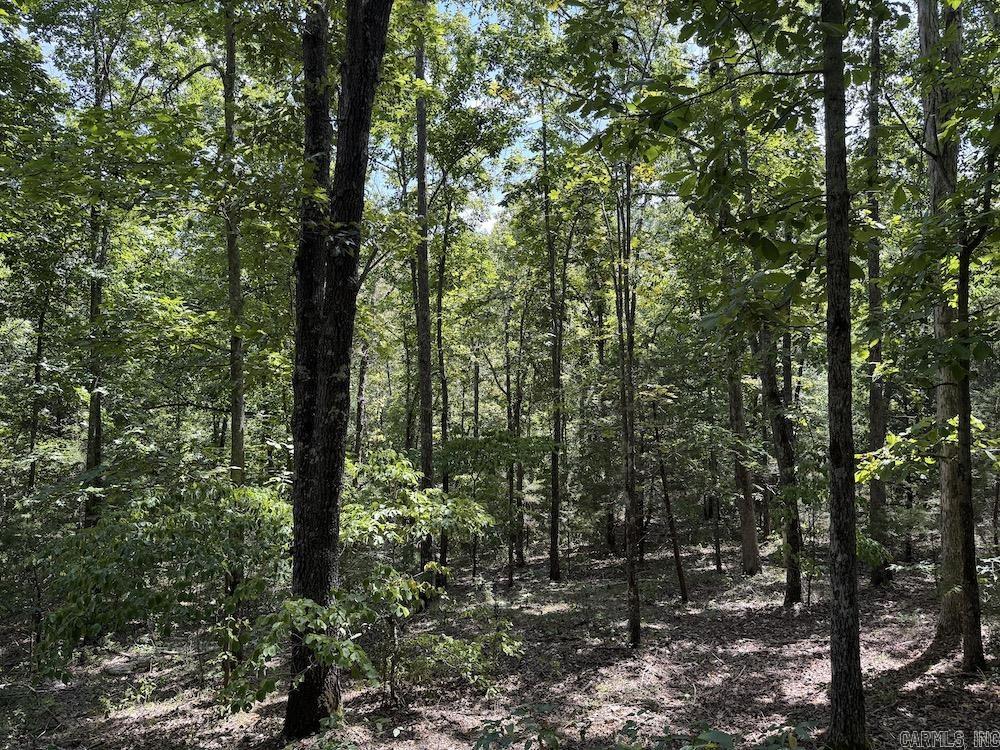 550 Hillbilly Hollow Trail Property Photo 37