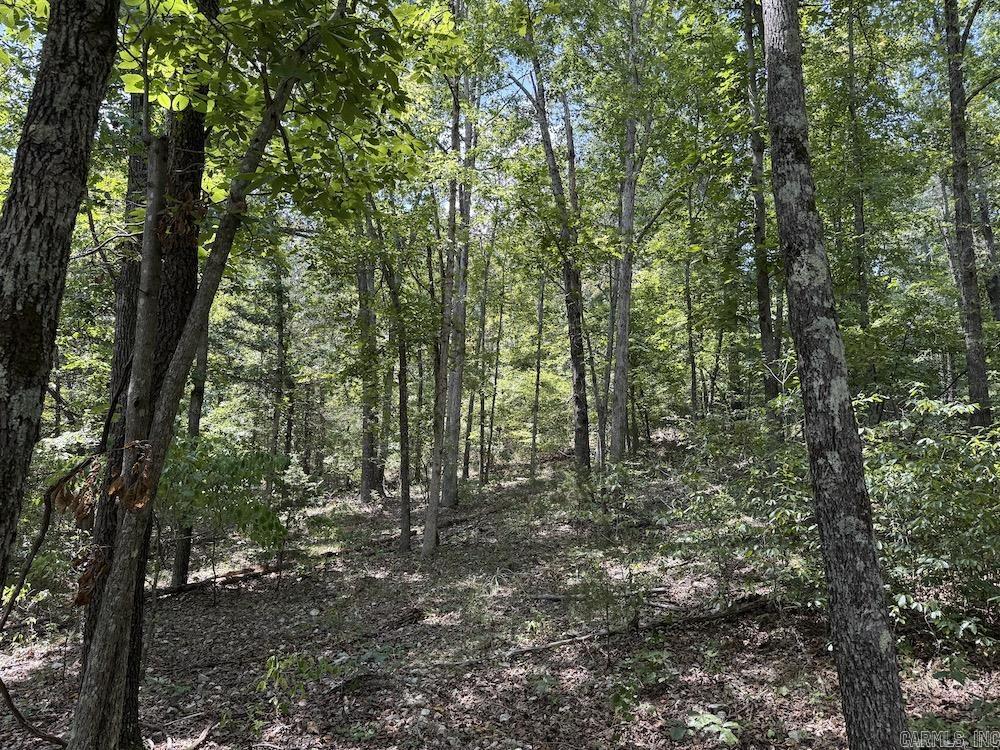 550 Hillbilly Hollow Trail Property Photo 38
