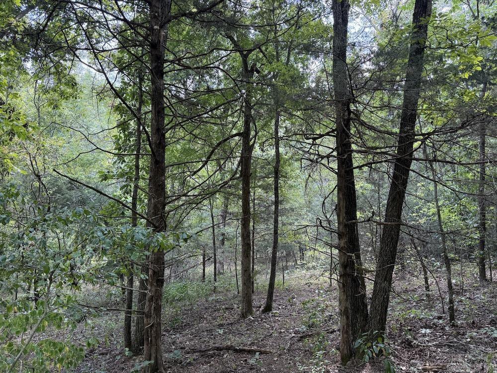 550 Hillbilly Hollow Trail Property Photo 39