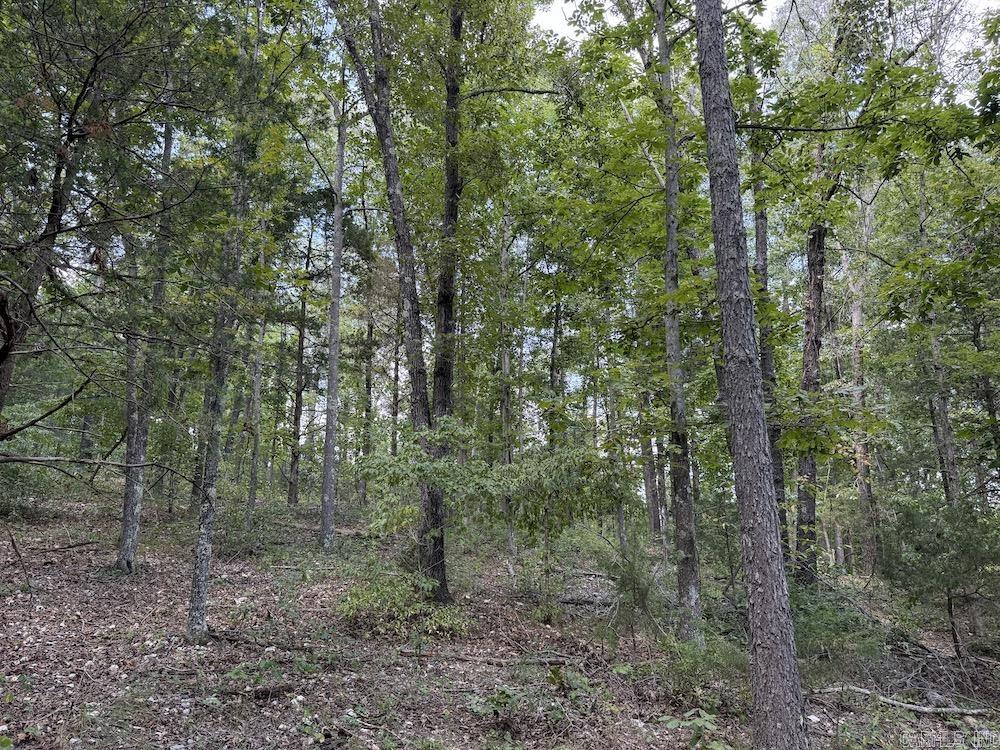 550 Hillbilly Hollow Trail Property Photo 40