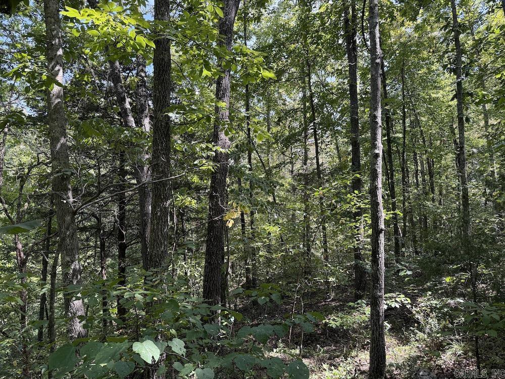 550 Hillbilly Hollow Trail Property Photo 41