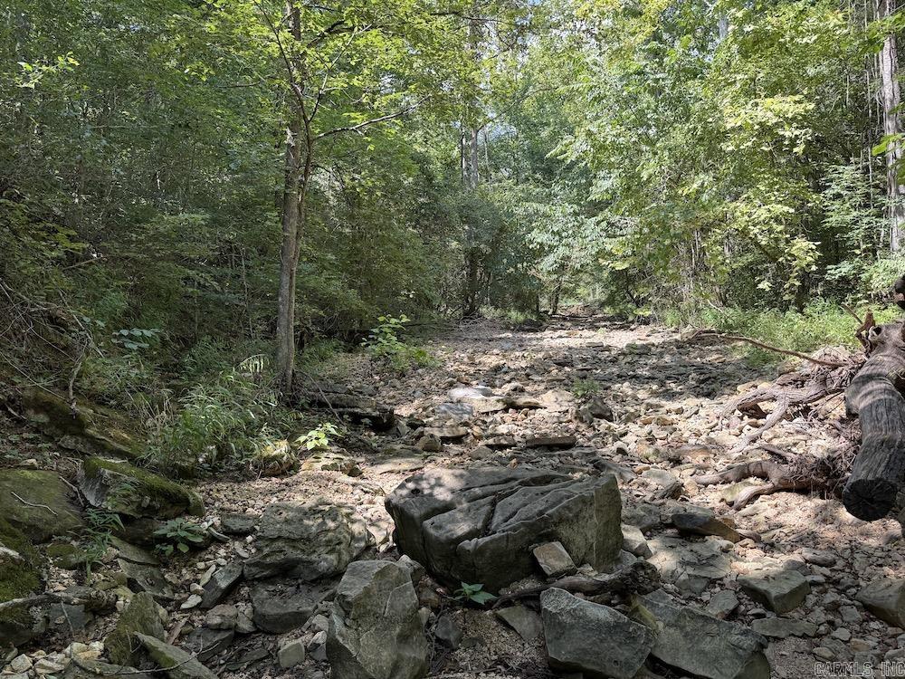 550 Hillbilly Hollow Trail Property Photo 42